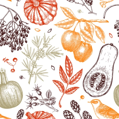 Autumn seamless pattern in sketched style. Botanical drawings of autumn leaves, pumpkins, berries, bird. Vintage fall plants hand drawn background. Thanksgiving day sketches background